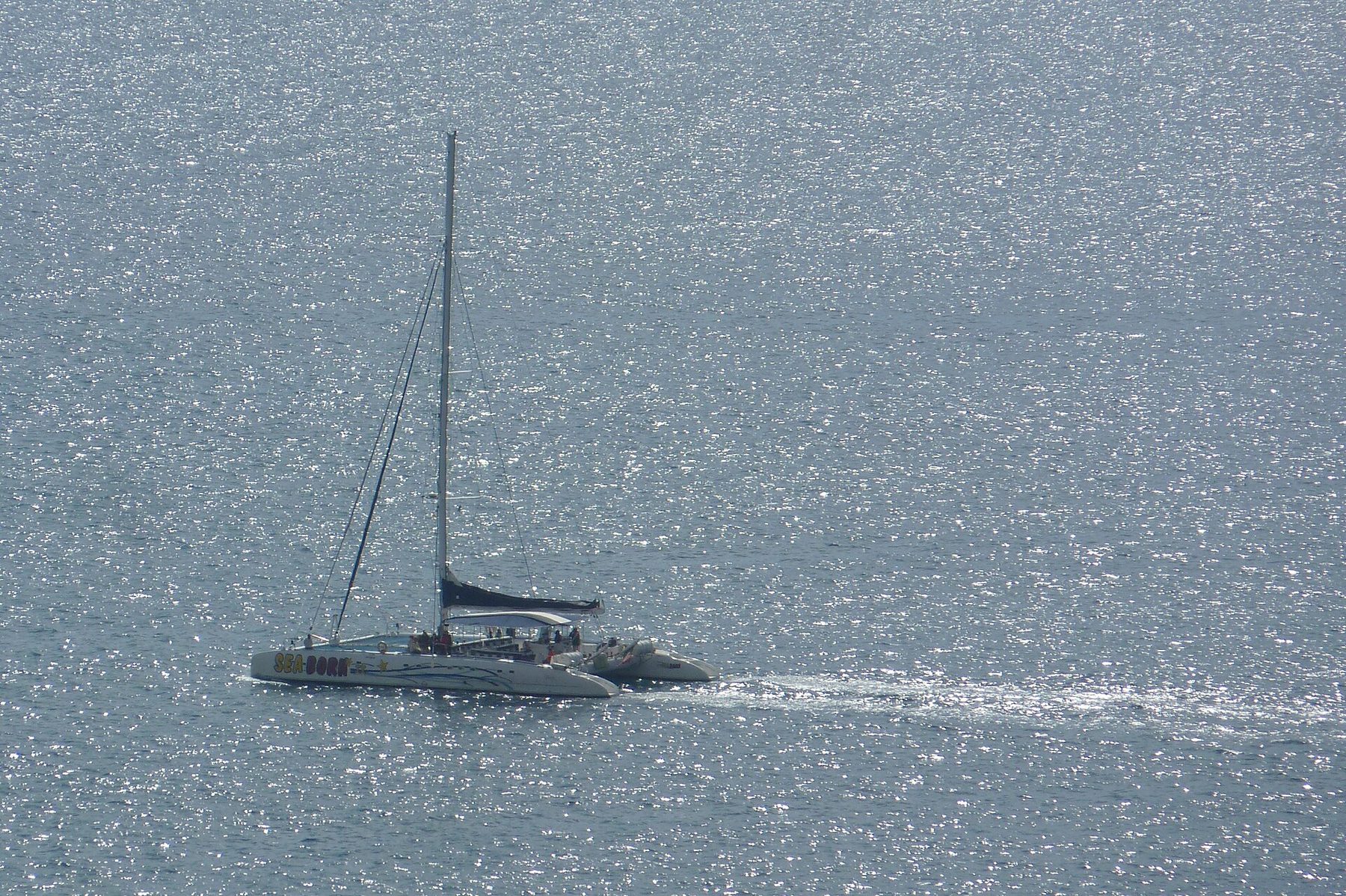 Catamaran sailing along the Madeira coast at sunset