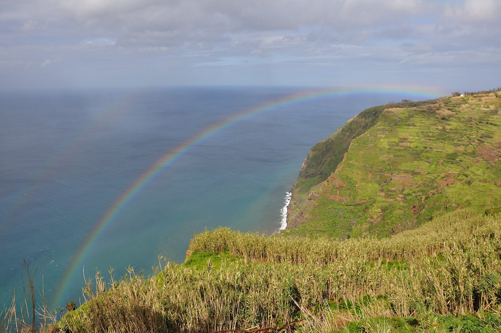 Small cable car descending a sheer cliff to a coastal farming terrace