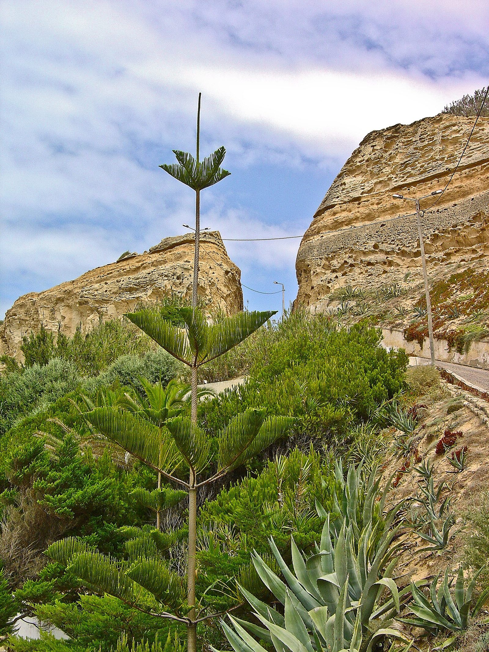 Wind-eroded striped sandstone cliffs at Fonte da Areia on Porto Santo