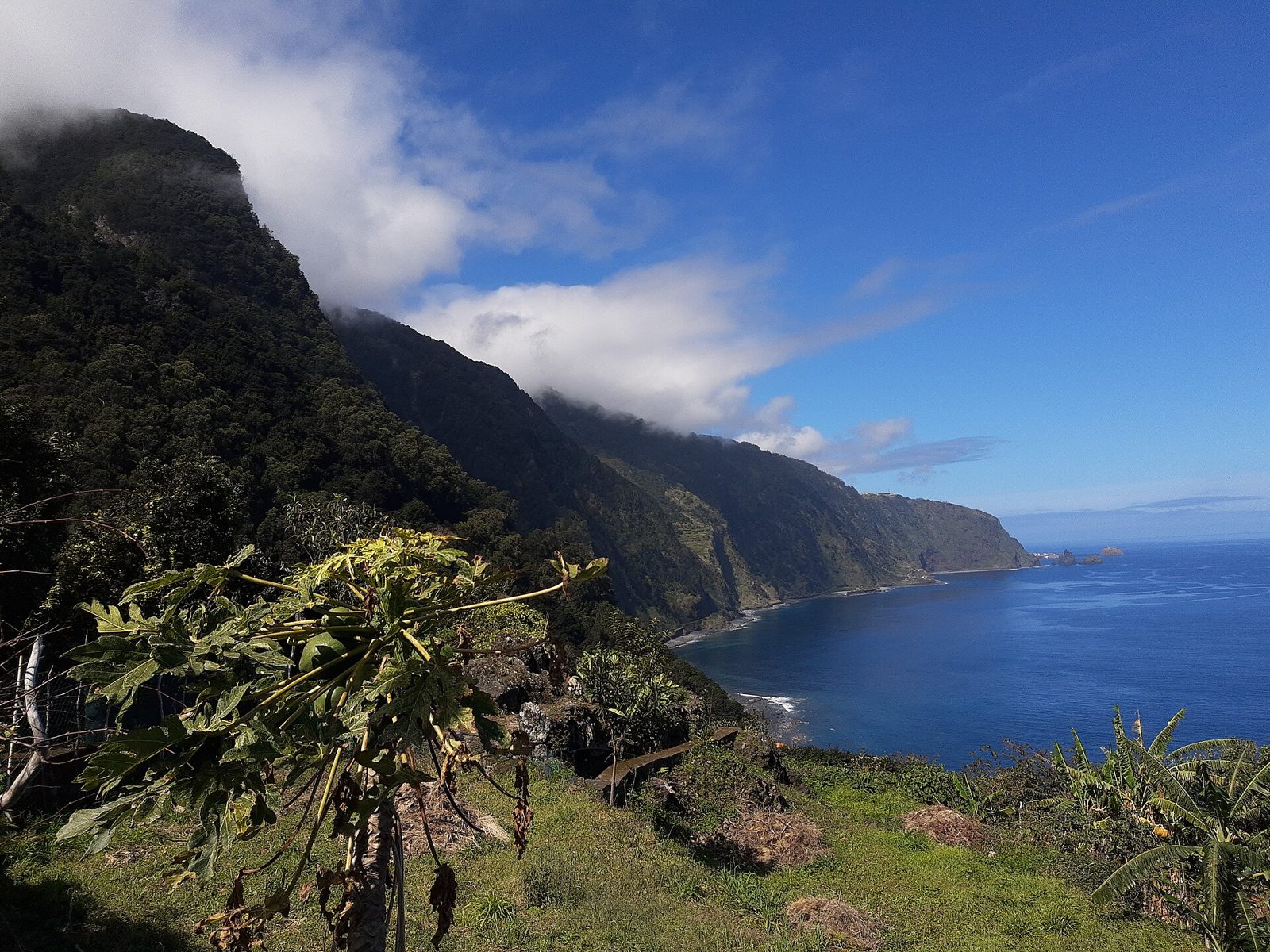 Black sand beach at Seixal backed by green cliffs