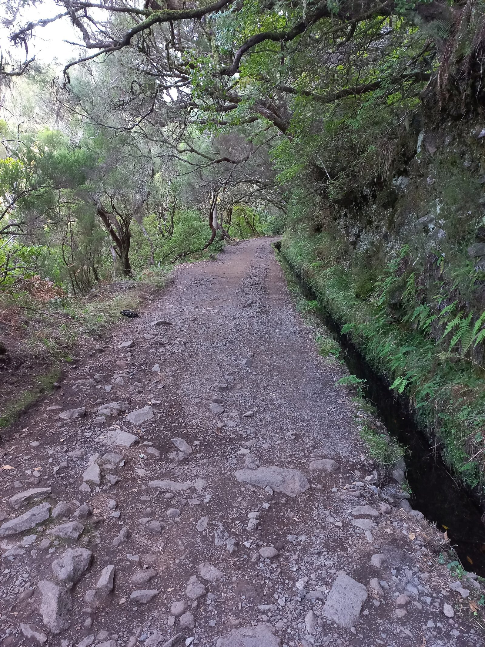 Tall thin waterfall dropping into a green valley at Risco, Madeira