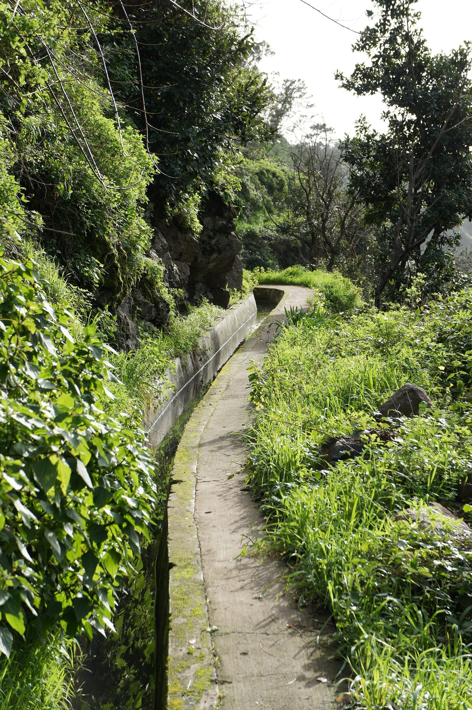 Levada path above terraced farmland on Madeira's sunny south coast
